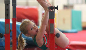 Image result for Wickers Gymnastics Club