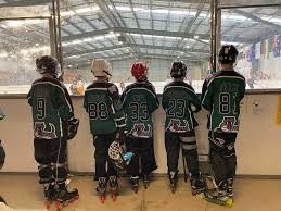 Image result for Vipers Roller Hockey Team