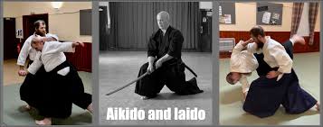 Image result for Sho Shin Kan Aikido Club