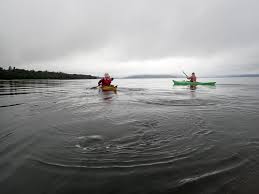 Image result for Bute Kayak Club