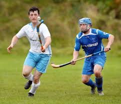 Image result for Skye Camanachd
