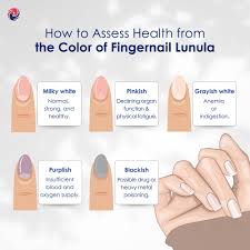 Image result for lunula nail