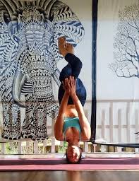 Image result for Hatha Yoga Club