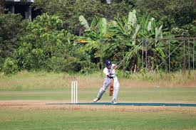 Image result for Antelope & Castle Cricket Club