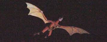 Image result for HAINAULT & CHIGWELL CHANGQUAN FLYING DRAGON