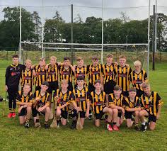 Image result for St Peter`s Gaa