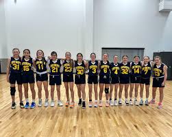 Image result for Elmbridge Girls Basketball Club