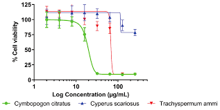 Image result for Sfânta Iuliana Falconieri