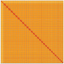 Attēlu rezultāti vaicājumam “Tholera decimalis female”