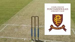 Image result for Pontarddulais Cricket Club