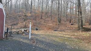 Image result for Newhaven Archery Club