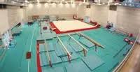 Image result for Horsham Gymnastics Club