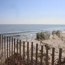 Image result for Dover Lifeguard Sc