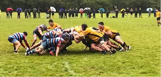 Image result for Winchester Rugby Football Club Ltd