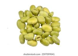 Attēlu rezultāti vaicājumam “Vicia faba”