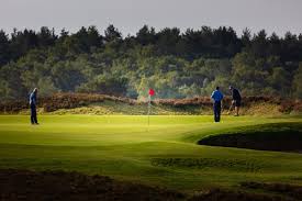 Image result for Hankley Common Golf Club