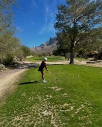 Image result for Amber Valley Gc