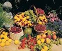 Os <b>carotenóides</b>, precursores