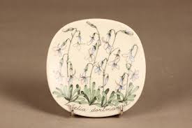 Attēlu rezultāti vaicājumam “Lobelia dortmanna leaf”