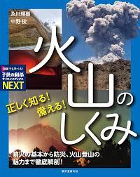 「日本語圏内検索公害」的圖片搜尋結果