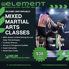 Image result for Full Element Mixed Martial Arts