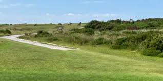 Image result for Clyne Golf Club Limited