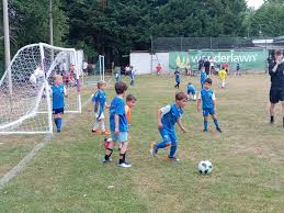Image result for Mayford Athletic Football Club