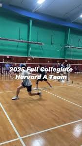 Image result for Salisbury Armada Badminton Club