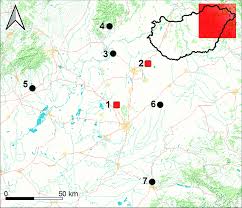 Image result for sényő