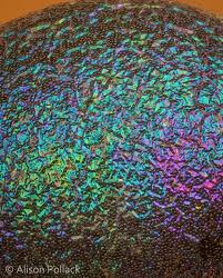 Attēlu rezultāti vaicājumam “Physarum psittacinum stalked”