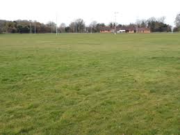 Image result for Hungerford Rfc