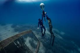 Image result for Notanx Freedive Club