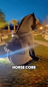 Attēlu rezultāti vaicājumam “Equus ferus caballus”