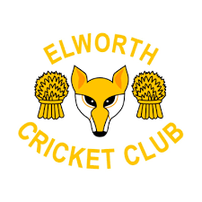 Image result for Tadworth Cricket Club