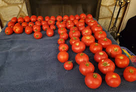 Afbeeldingsresultaat voor oranje van goeienbier tomato