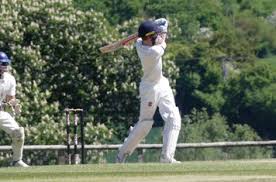 Image result for Sawbridgeworth Cricket Club