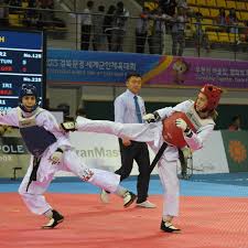 Image result for Dujon Tae Kwon Do