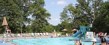 Image result for Trowbridge Swimming Club