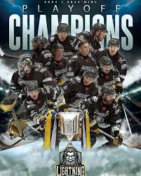 Image result for Mk Lightning