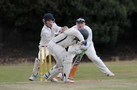 Image result for Eaton Socon Cricket Club