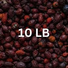 Attēlu rezultāti vaicājumam “Rosa subcanina fruit”