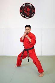 Image result for Dallo Martial Arts