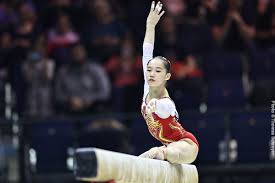 Image result for Focus Institute of Gymnastics