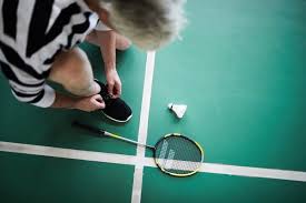 Image result for Borden Social Badminton Club