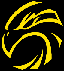 Image result for Normanton Falcons Netball Club