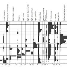 Attēlu rezultāti vaicājumam “Carex chordorhiza”