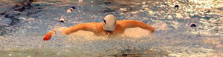 Image result for Stokesley Amateur Swimming club