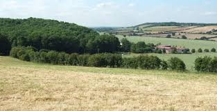 Image result for LITTLE GADDESDEN CRICKET CLUB