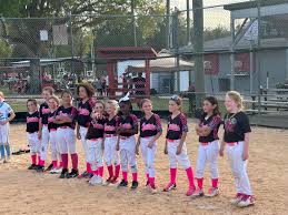 Image result for Cheetahs Softball Team