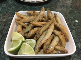 Attēlu rezultāti vaicājumam “Charales”